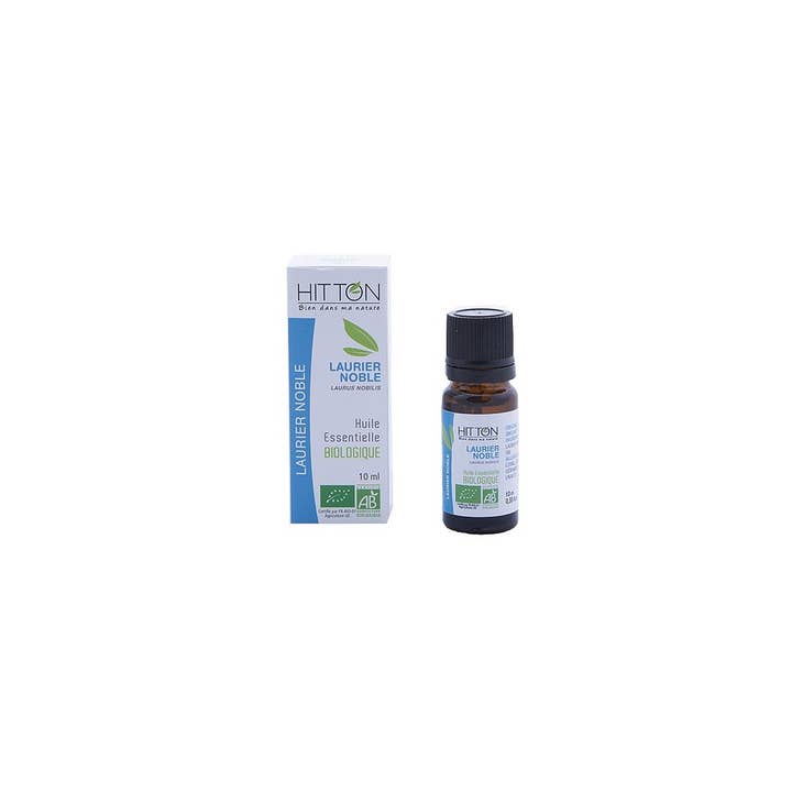 Organic noble laurel essential oil 10 ml for wholesale by Hitton