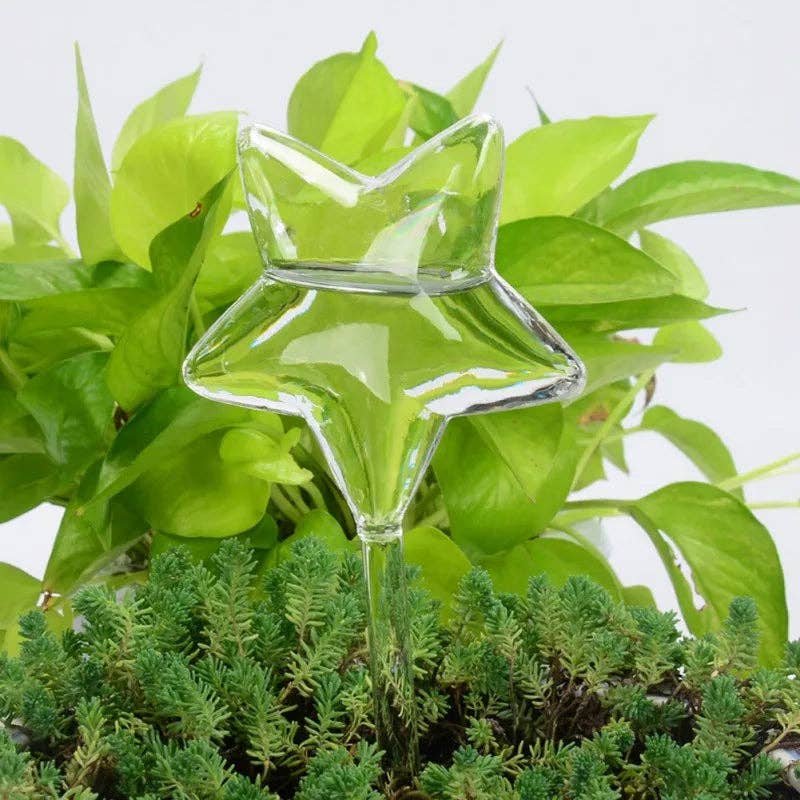 Kiyo Home - Wholesale Plant Pot - Glass Self-Watering Plant Decor | Micro-Drip System Ornament20