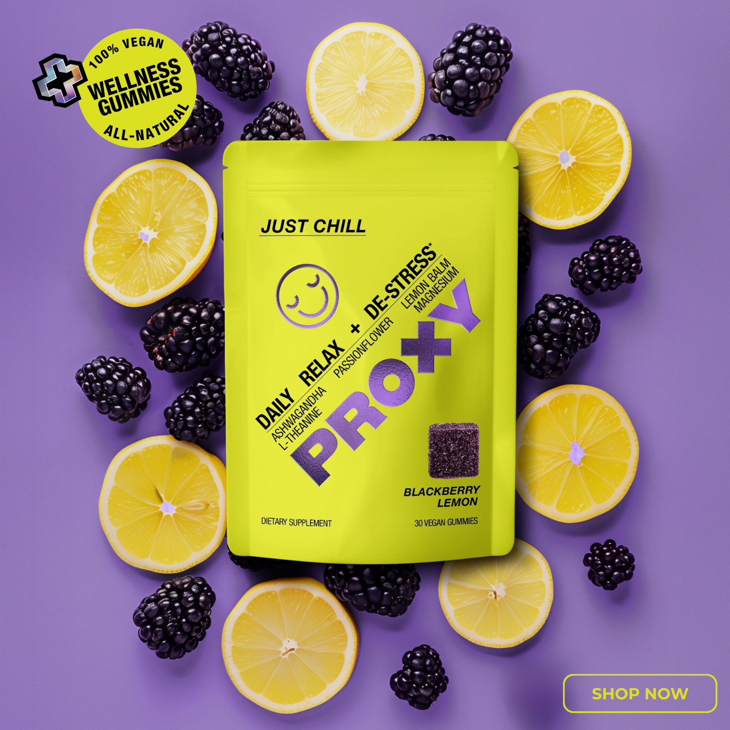 Proxy Wellness - Wholesale Oral Supplement/Vitamin - PROXY Just Chill1