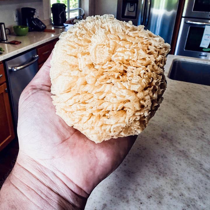 Gia Roma - Wholesale Bath Pouf/Sponge - Dead Sea Sponge, All Natural Body Wash Loofah 4-5"16