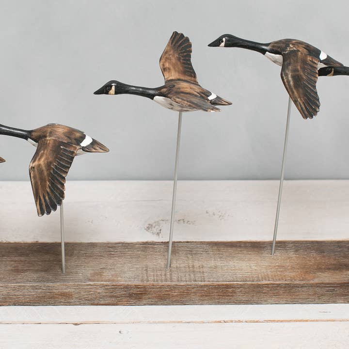 Aviologie - Wholesale Decorative Figurine - Canada Goose - Flying Set of 5 - 22"L -Carved Ornament
