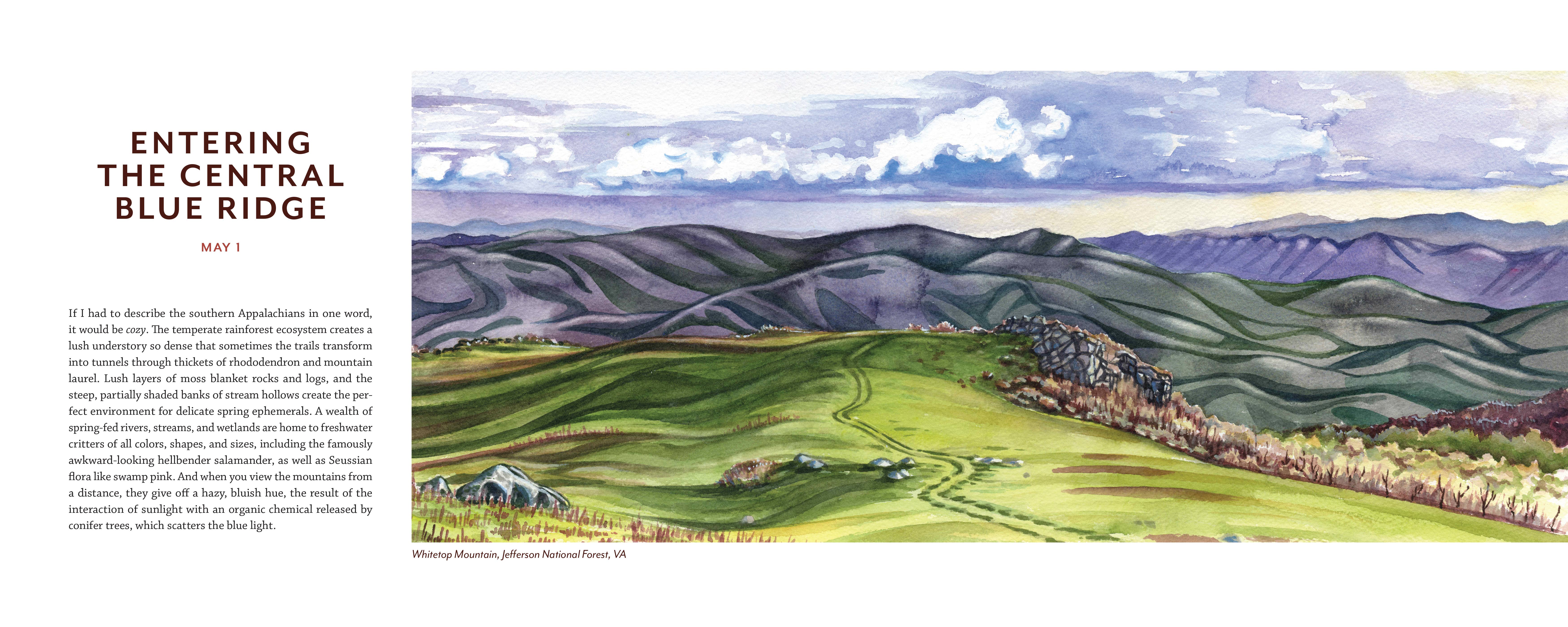 Mountaineers Books - Wholesale Nature & Outdoors - Tiny Worlds of the Appalachian Mountains8