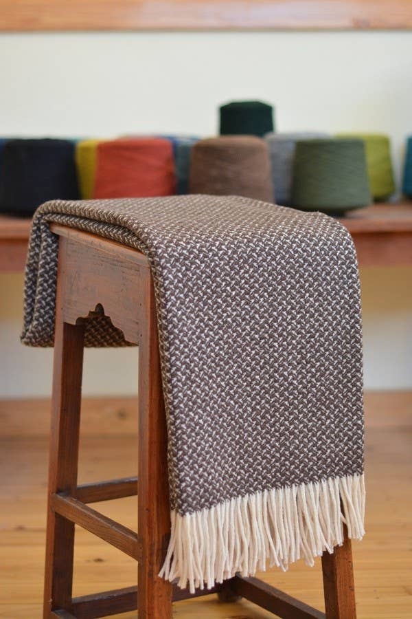 Chicoração - Vendita all'ingrosso Plaid - Coperta Rondine - più colori2