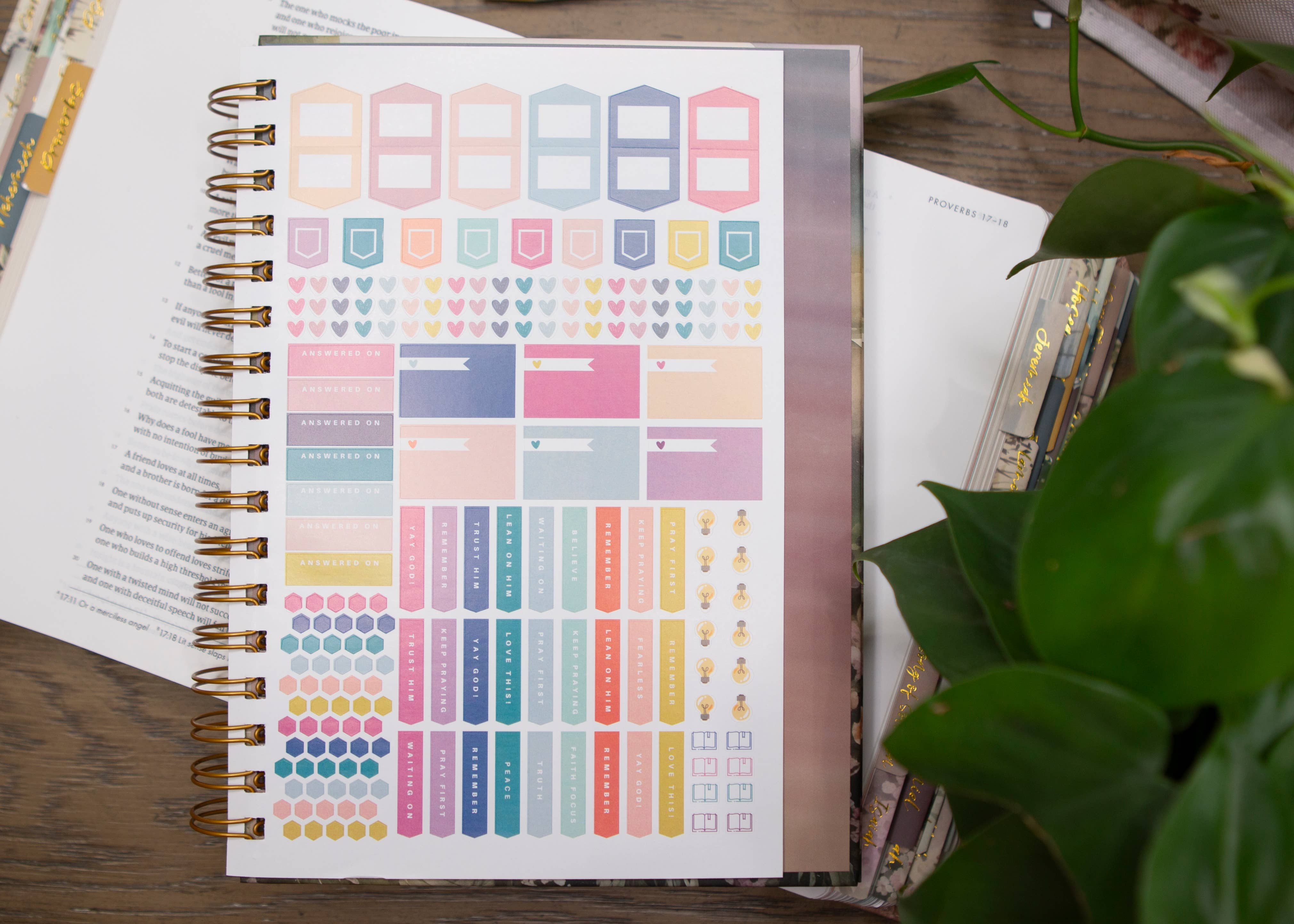 Chosen & Cherished - Wholesale Journal/Diary - New Mercies Prayer Journal for Women1