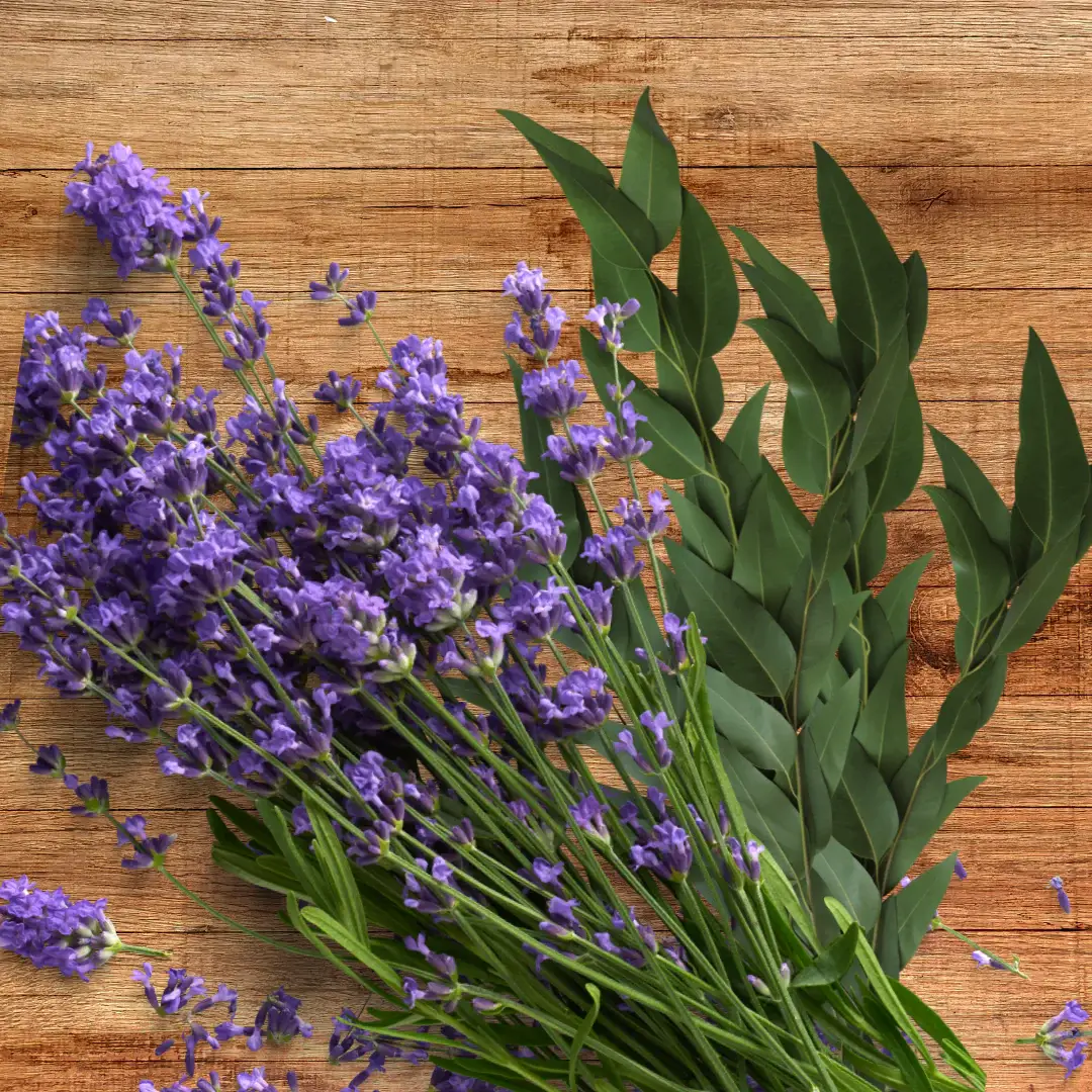 Indigo Scents Candle Co. - Wholesale Floor Cleaner - Lavender Eucalyptus Mop Soap  2