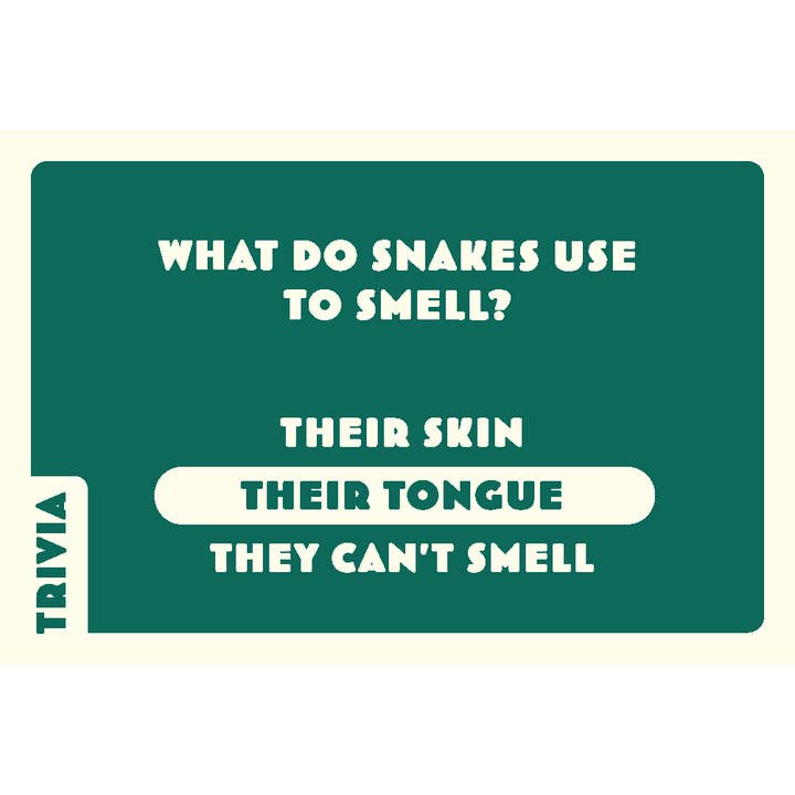 Chronicle Books - Wholesale Card Game - Let's Go! Road Trip5