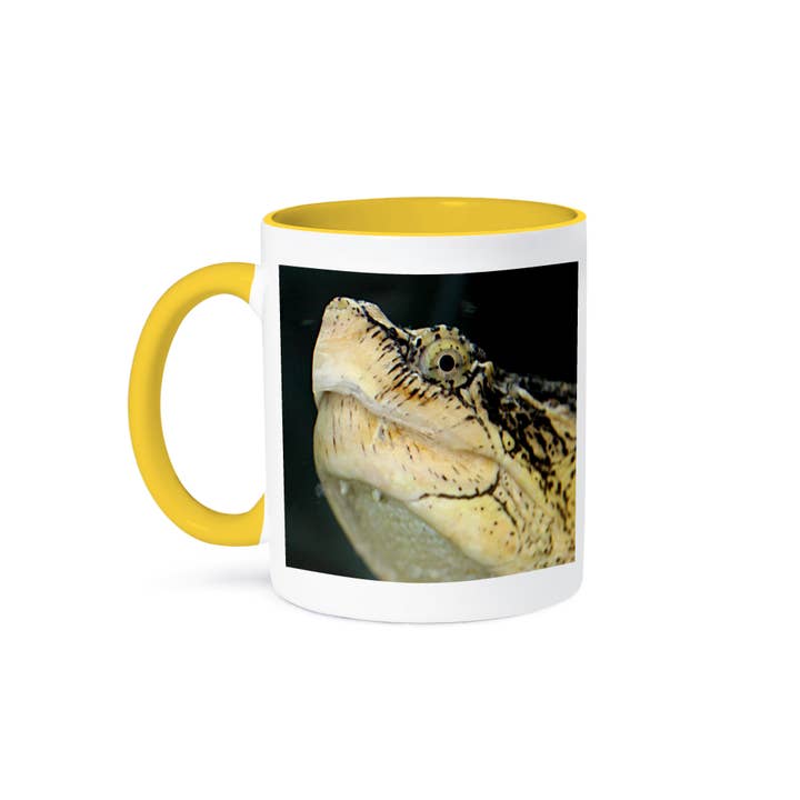 3dRose - Wholesale Coffee Mug - 3dRose, Snapping Turtle, Mug