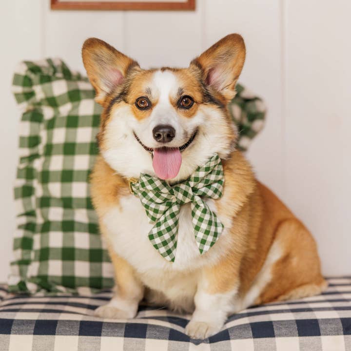 The Foggy Dog - Vente Nœud papillon – chien - Mini nœud Gingham Hunter vert pour femme HTH x TFD