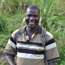 Tea Rebellion – Großhandel Loser Tee – Lemon Verbena - Kräutertee | aus Malawi | Biologisch abbaubare Tasche5