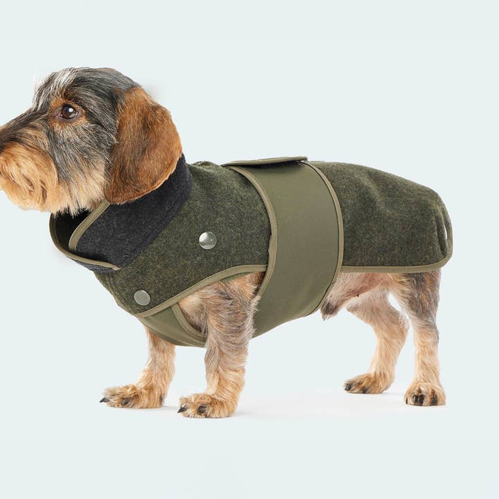 Leopold's Finest for dogs - Wholesale Pet Coat - Dog - Loden coat with removable fleece for dachshunds and small dogs23