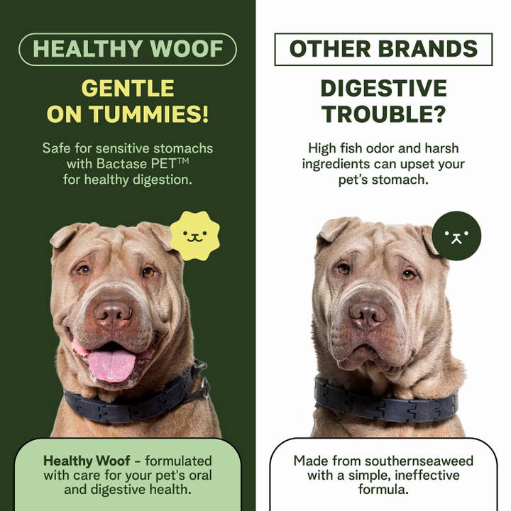 Healthy Woof - Wholesale Pet Supplement - Dog - Healthy Woof Dog Dental Powder for clean teeth – Small size3