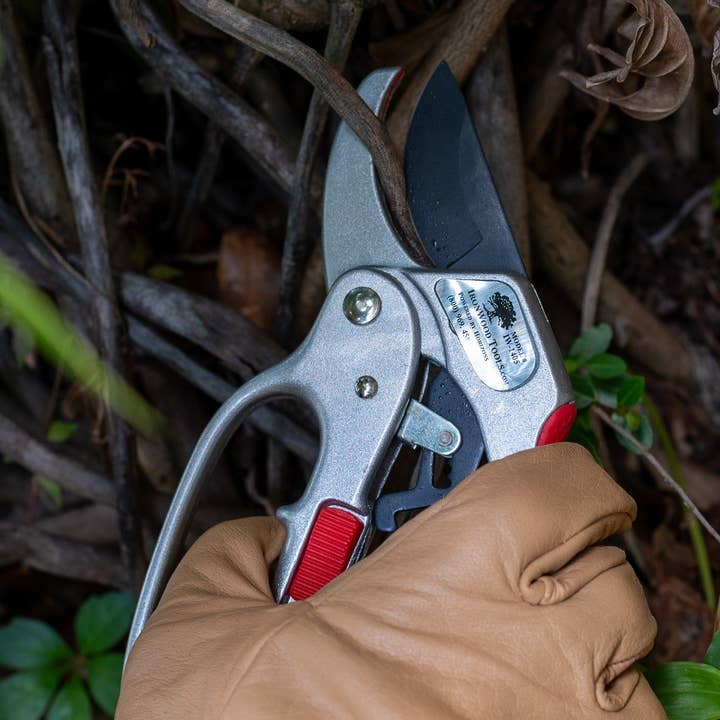 Sécateur à cliquet robuste Ironwood pour la vente par Garden Works