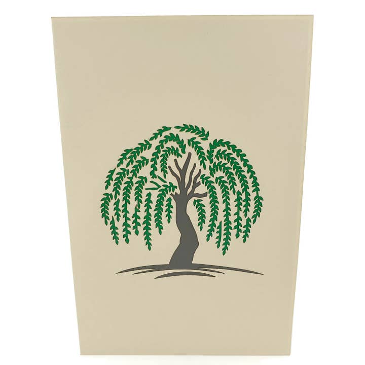 Color Pop Cards – Cartão de saudação diária por atacado – Cartão Pop Up 3D Willow Tree1