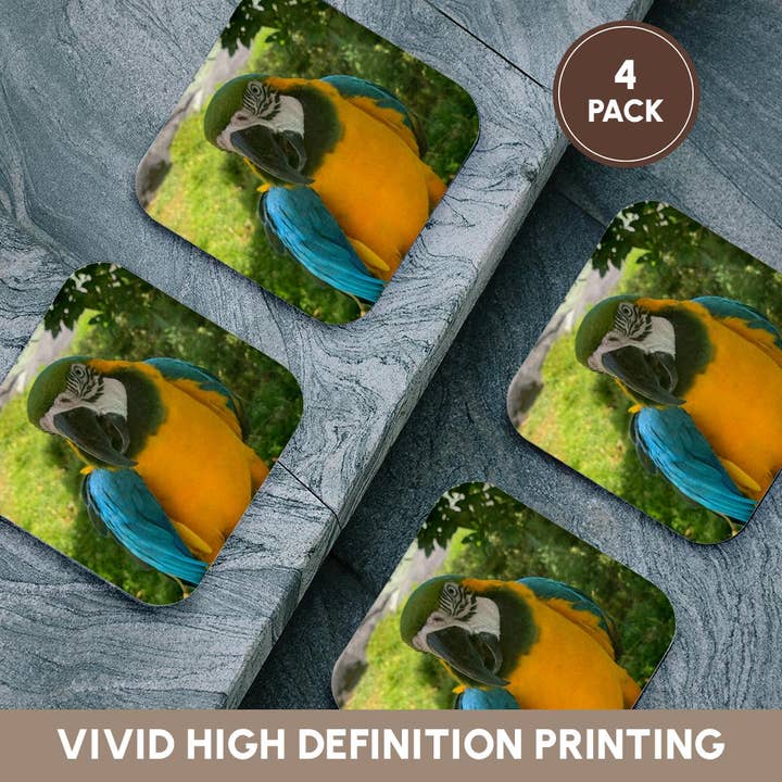 3dRose - Wholesale Coasters - 3dRose, Closeup Macaw, Coaster12