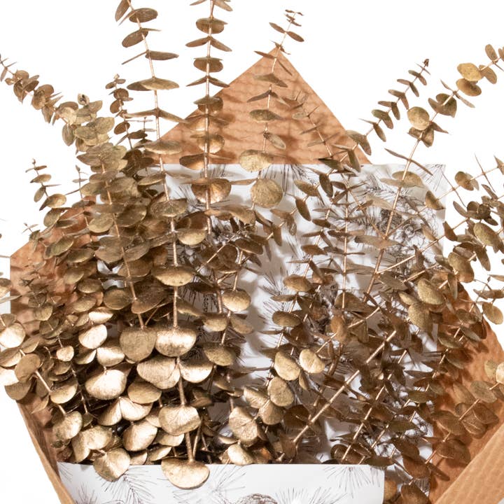 Andaluca - Wholesale Dried/Pressed Flowers - Gold Wash Winter Baby Eucalyptus Bundle #432