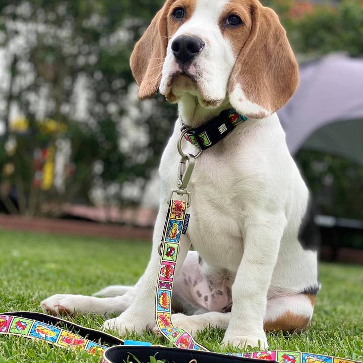 Max & Molly - Wholesale Pet Leash - Dog - Dog Multi-Function Leash - Comic4