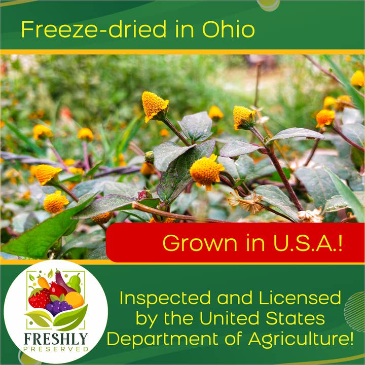 Freshly Preserved - Wholesale Cocktail Mix/Syrup - Freeze-dried Edible Buzz Buttons