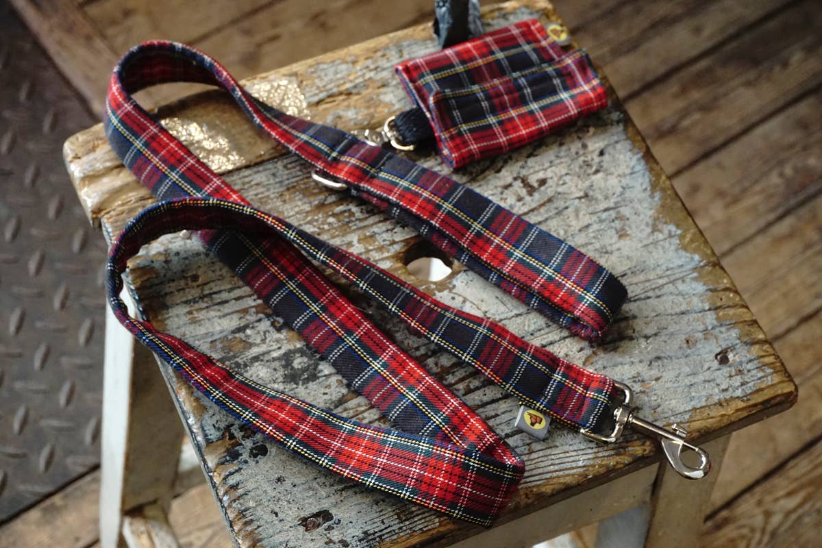 hundsfutter - Wholesale Pet Collar - Dog - Collar, leash, and bag holder set.24