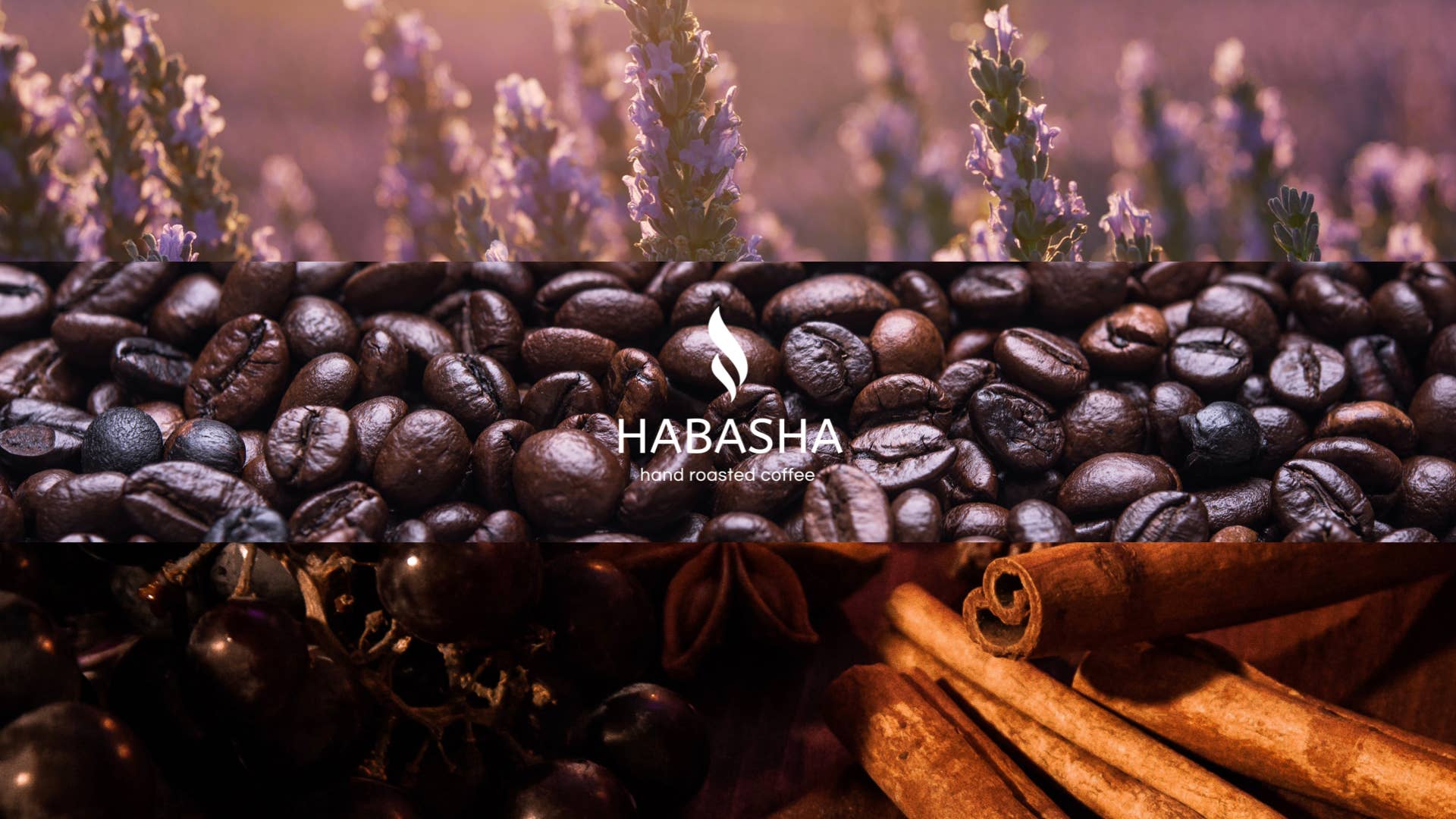 Habasha Hand Roasted Coffee - Wholesale Coffee beans - KAFFA • Silky Lavender4