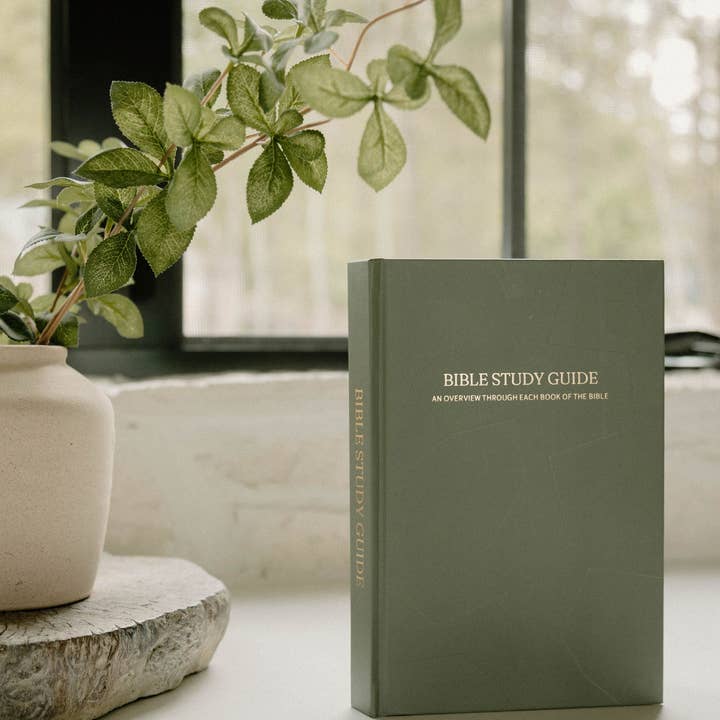 Chasing Sacred - Wholesale Book - Adult - Bible Study Guide