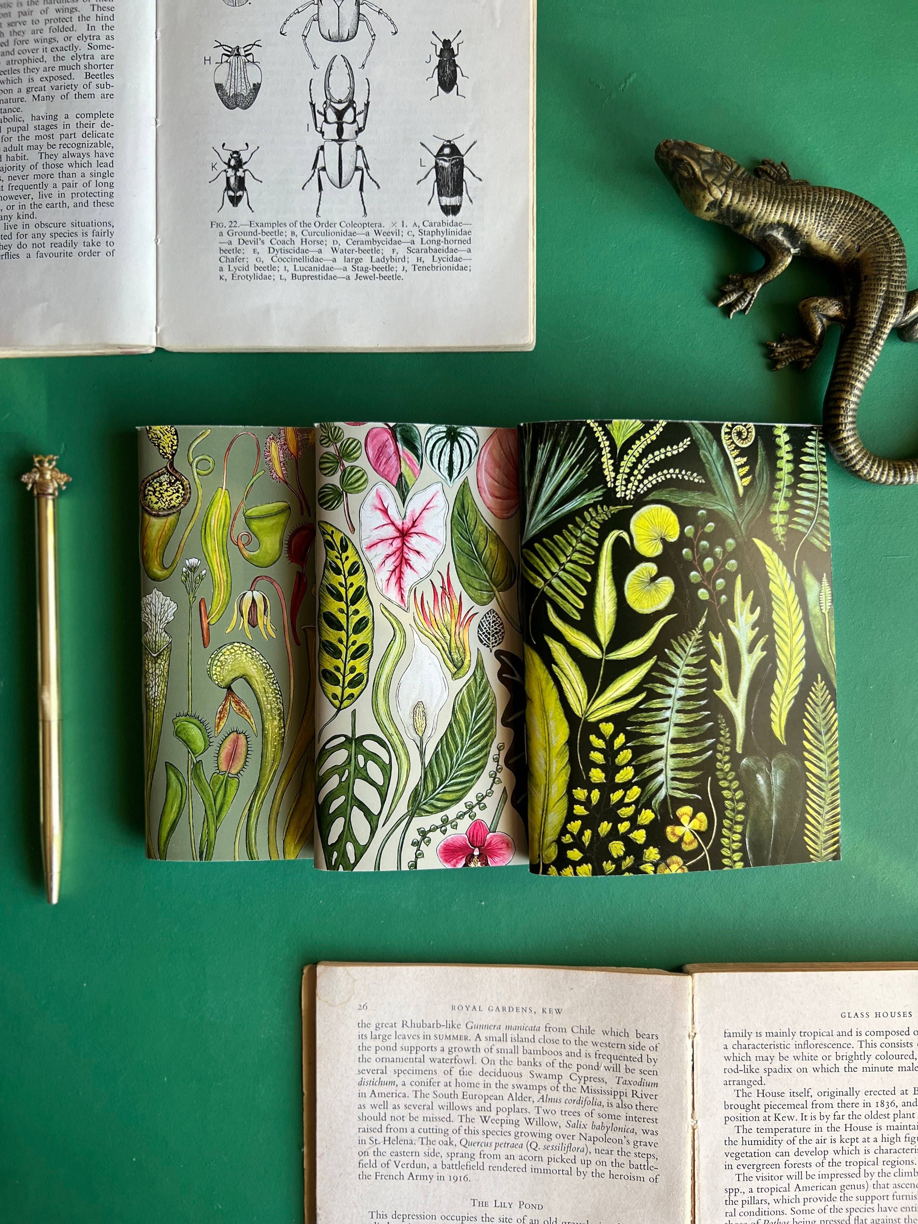 Tansy Moore - Vente Cahiers - Ensemble de carnets de poche Plantes2