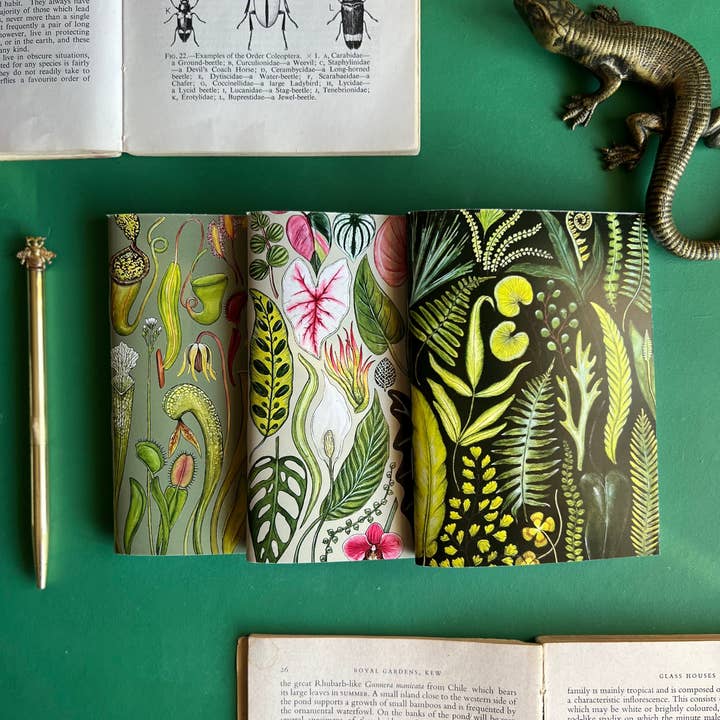 Tansy Moore - Vente Cahiers - Ensemble de carnets de poche Plantes2