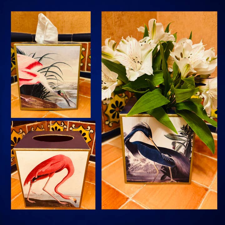TOPICS IN THE TROPICS - Vendita all'ingrosso Scatola portafazzoletti - Scatola di Kleenex o Vaso Audubon Uccelli, Spatola, Fenicottero1