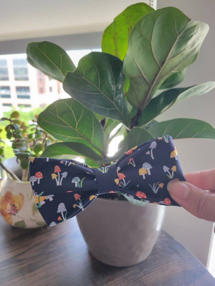 Encantado sobre la proa del cuello para venta al por mayor de Life of Daisy Co.