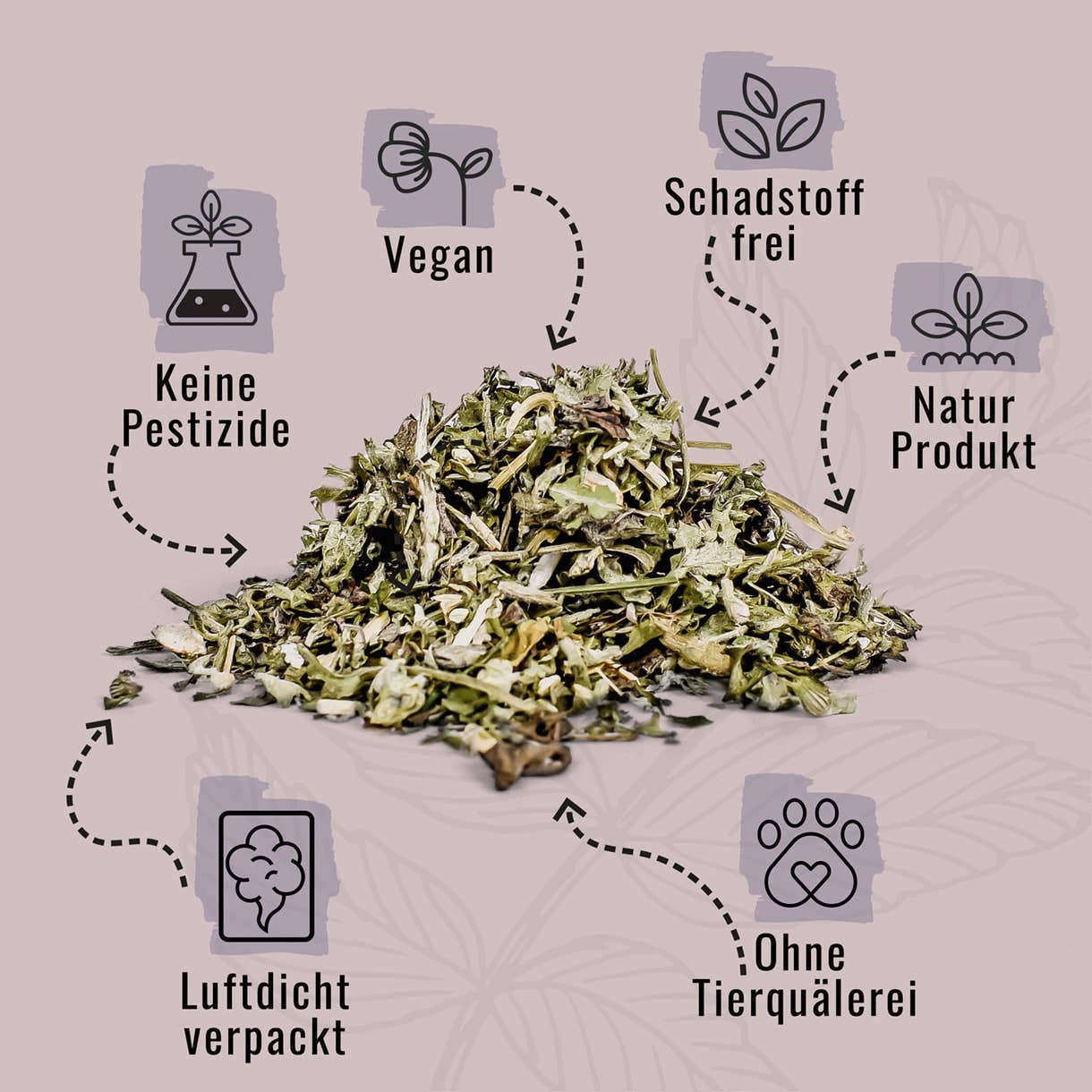 ne&no – wholesale Leksak - Katt – ne&no® Naturlig kattmynta - Set med 3 i elegant presentförpackning1