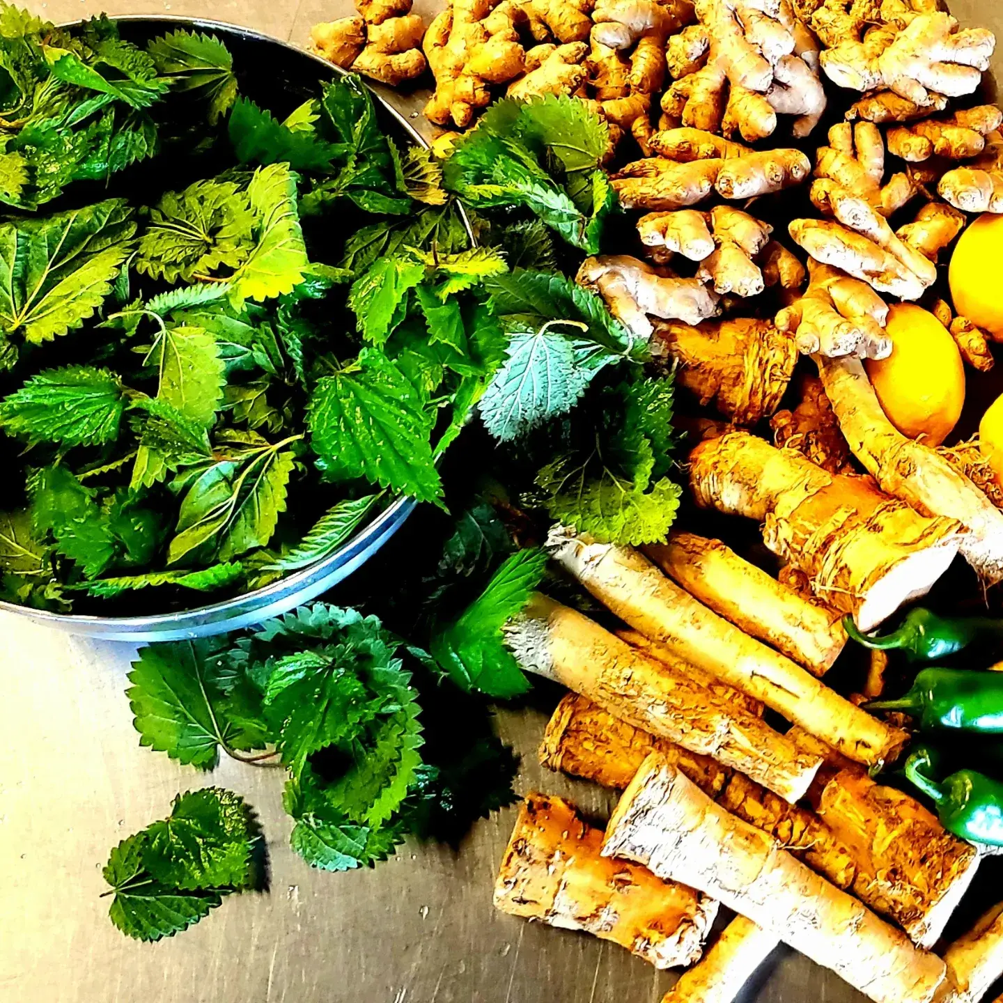 Wildfire Elixirs – Suplemento/vitamina oral por atacado – Tónico Alergénico - O Relevo 16oz, lote sazonal2