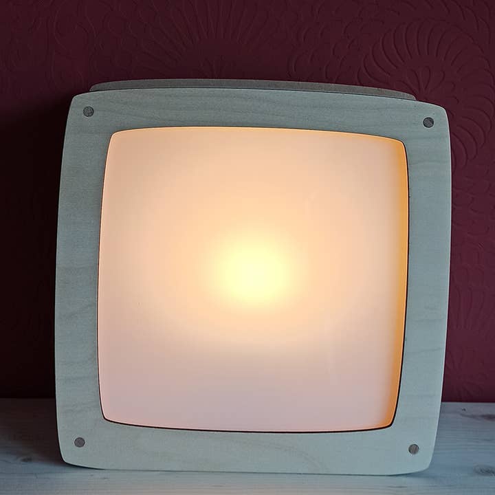 Silly Goose - Wholesale Art Print - Toverplaat - Dragen roze3