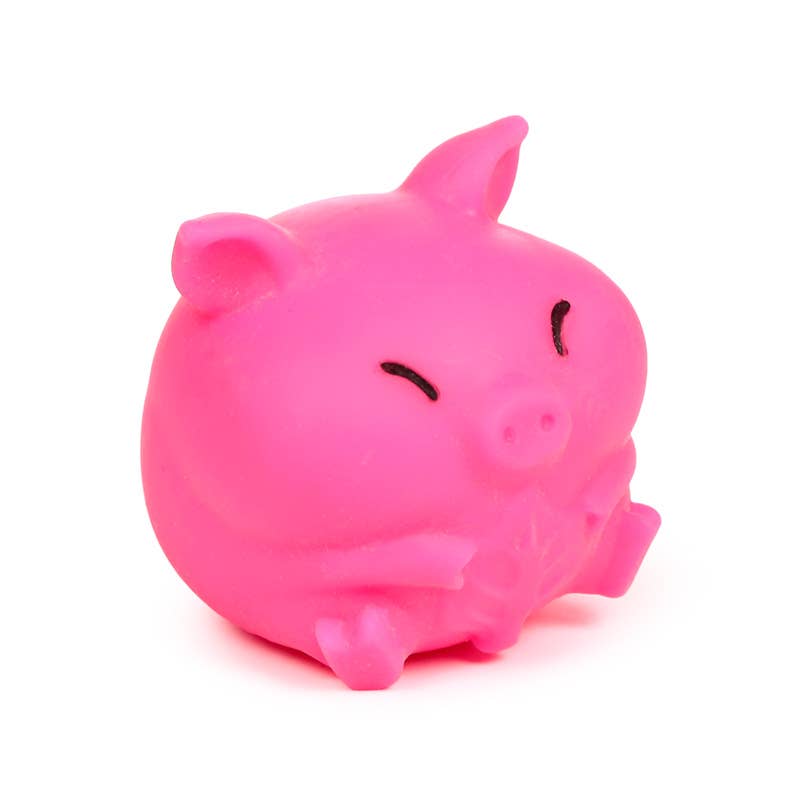 Puckator EU - Wholesale Stress Relief Ball/Dough - Maltose Squeezy Neon Cute Animal Stress Toy4