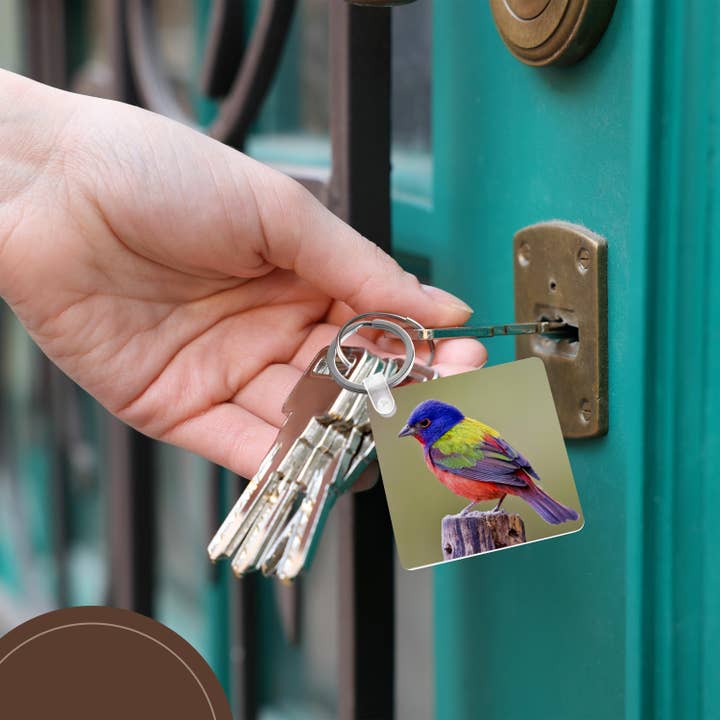 3dRose - Wholesale Keychain - Unisex - 3dRose, Painted Bunting male bird perched - US44 LDI1047 - Larry Ditto, Key Chain5