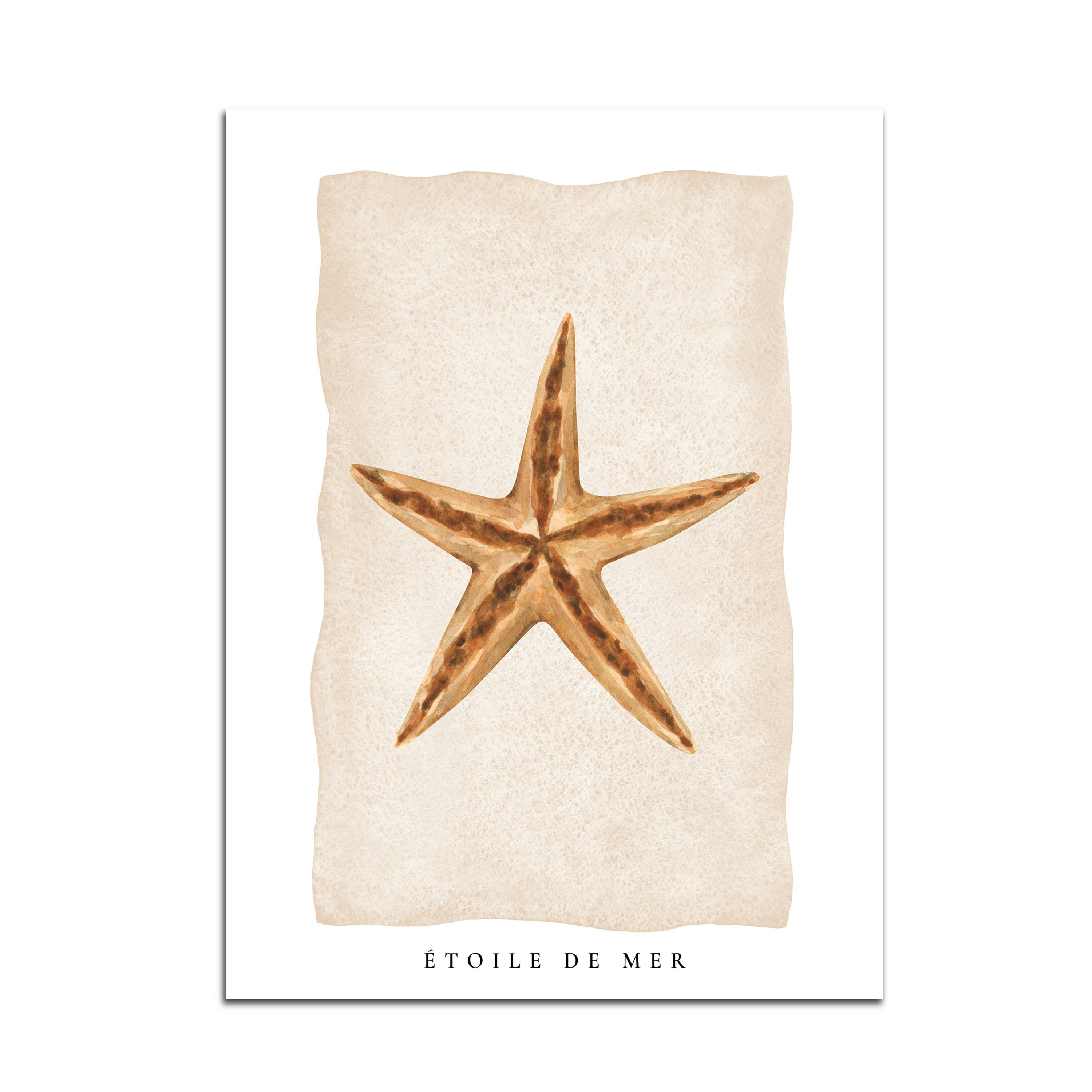 Seven Icons Store – Engroshandel Kunsttryk – Søstjerner, Kunsttryk4