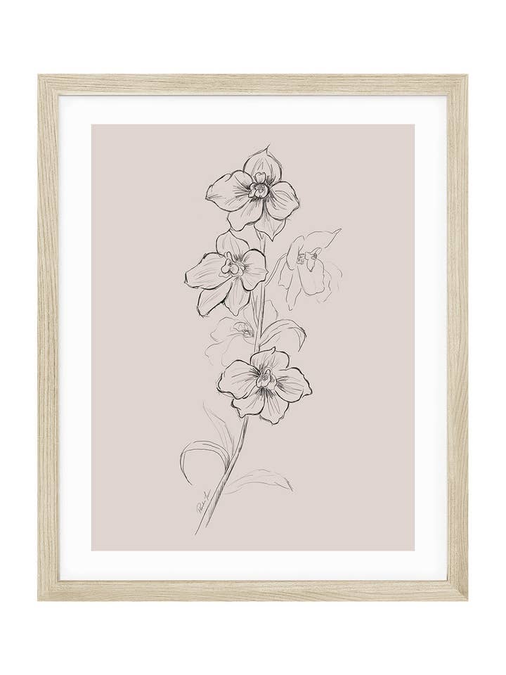 Larkspur, July Birth Flower for wholesale by Love by Phoebe