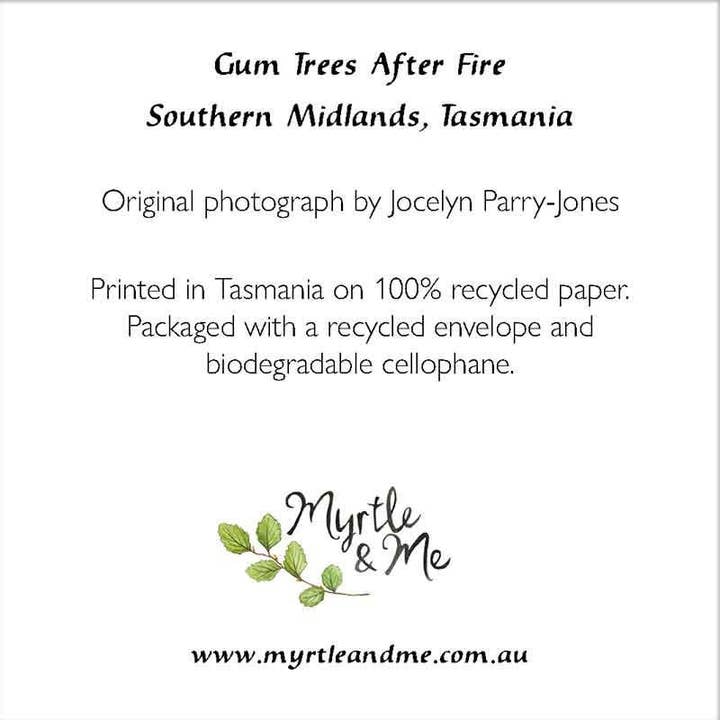 Myrtle & Me - Wholesale Everyday greeting card - Gum Trees After Fire - Greeting Card1