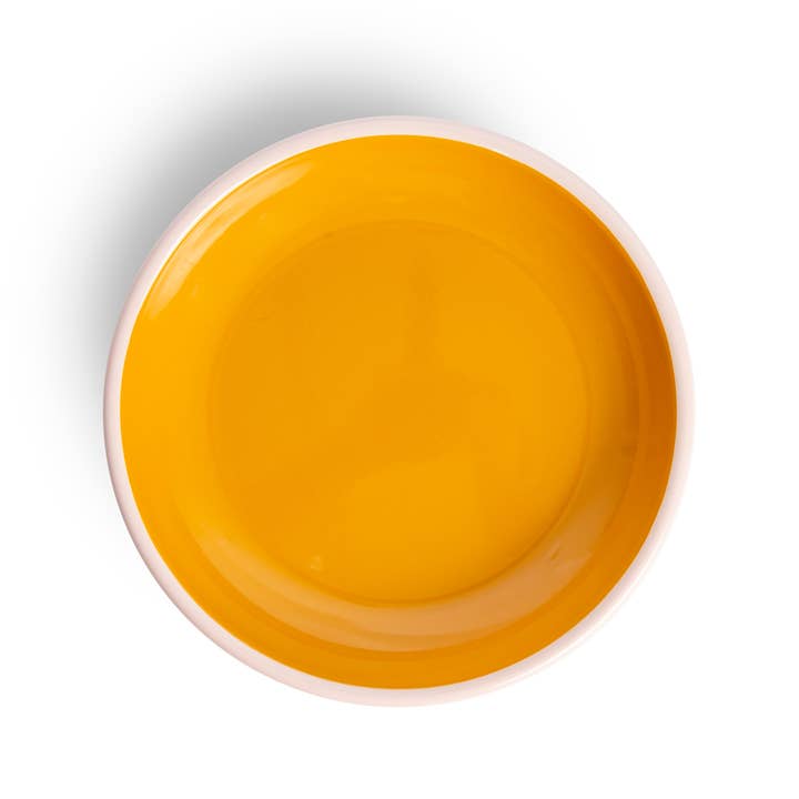 Crow Canyon Home - Wholesale Dinner Plate - The Get Out x CCH Enamelware Coupe Dinner Plate