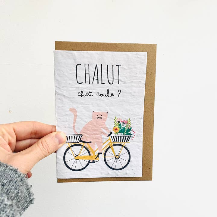 Cat card rolls for wholesale by Sochizen