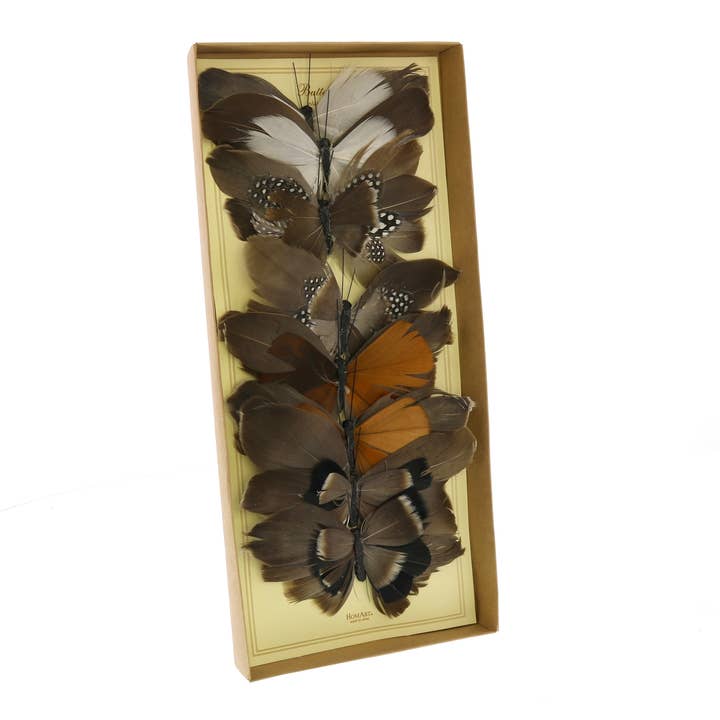 HomArt – wholesale Decorative tabletop object – Feather Butterflies on Clip - Box of 8 Assorted - Natural