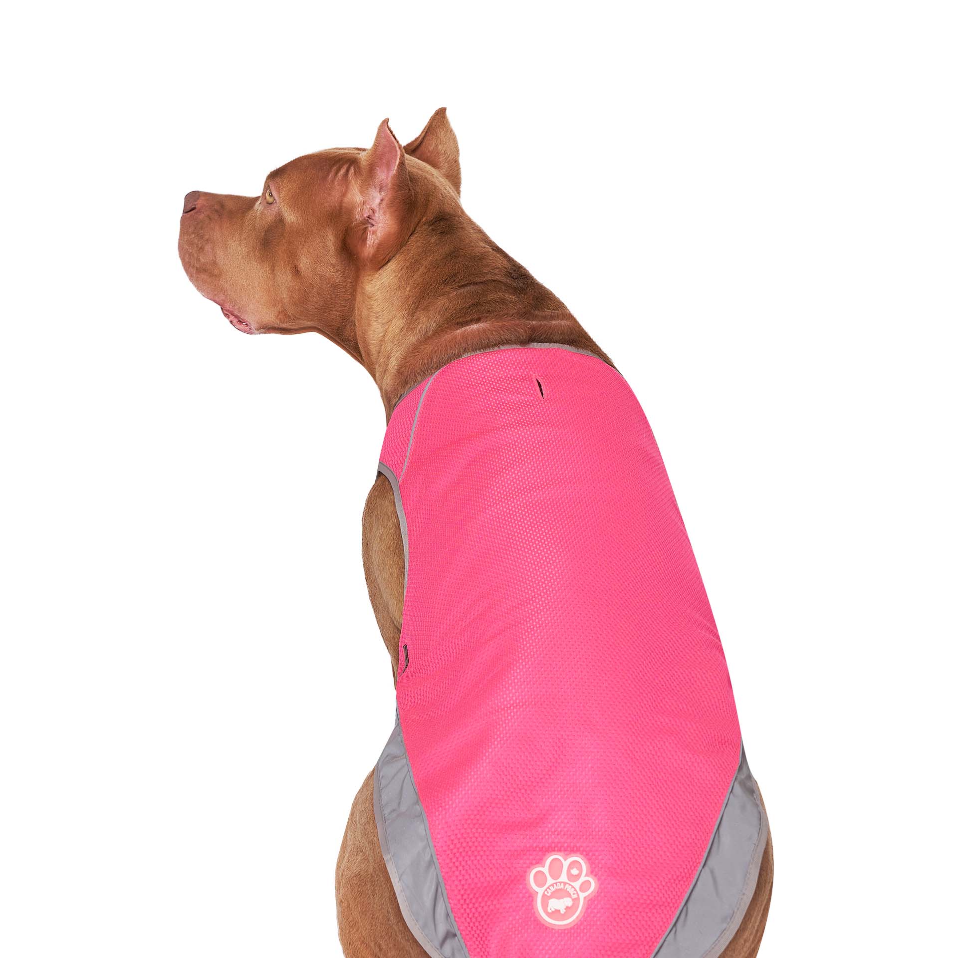 Neon Lyserød Chill Seeker hundekølevest (Neon Pink) for engroshandel på Faire3
