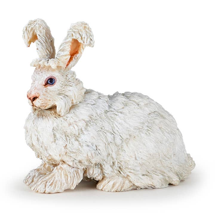 Angora Rabbit for wholesale by Papo
