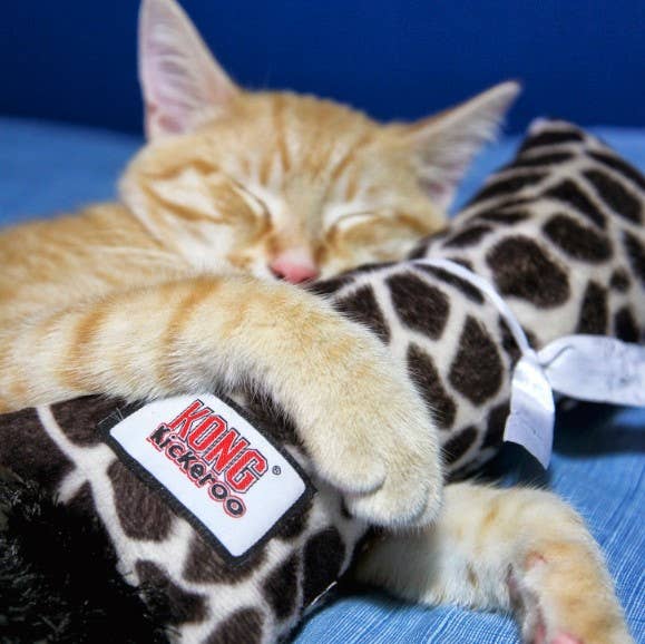 KONG® Kickeroo® Pattern #1 Cat Toy for wholesale by Pet Palette Distribution