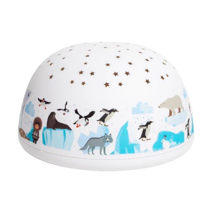 Polaris Musical Star Projector - 4 Colors 5 Melodies for wholesale by Olala Boutique