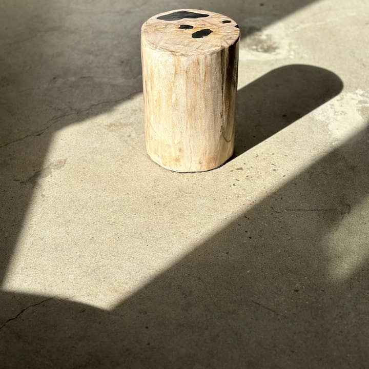 Office Objets - Wholesale Side Table - White petrified wood side table with black spots H:27.5 D:1835