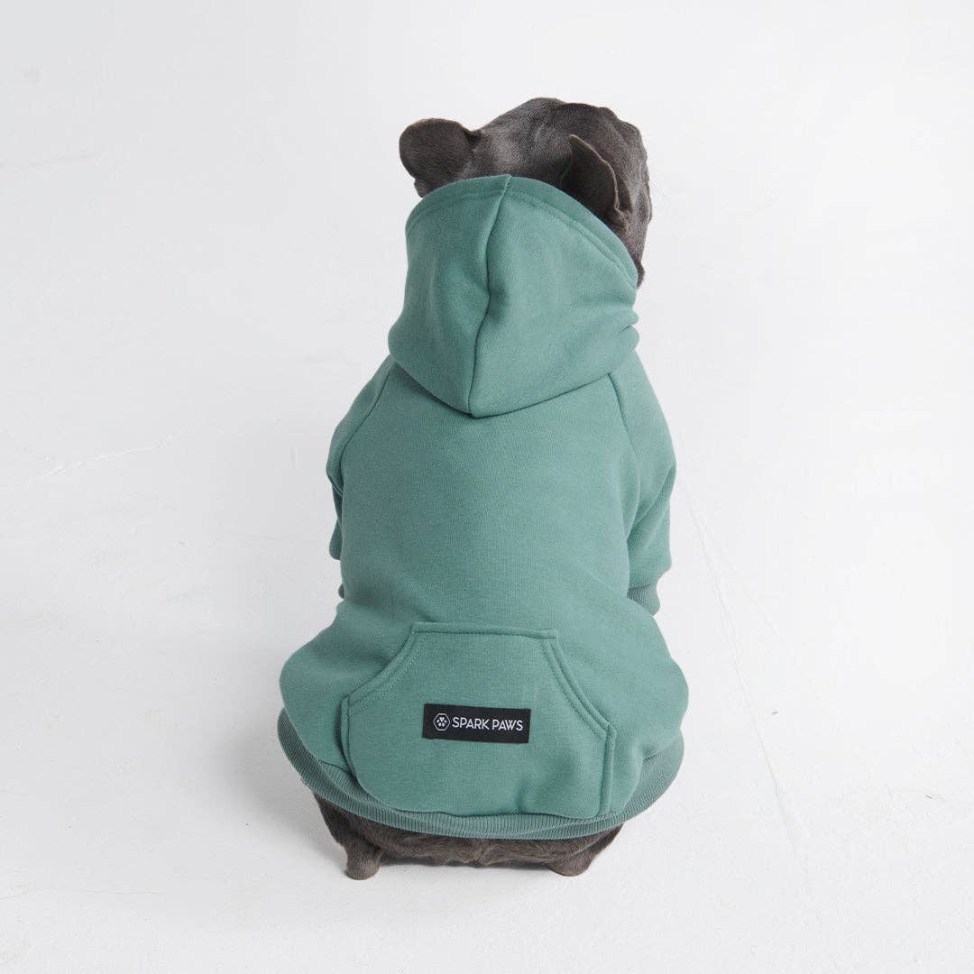 Spark Paws - Wholesale Pet Hoodie - Dog - Essential Dog Hoodie - Teal4