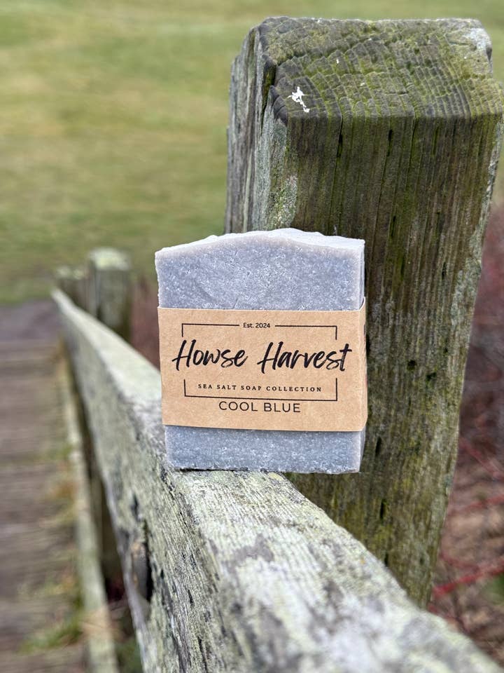 Cool Blue Sea Salt Soap — Fresh, Cooling Natural Bar for wholesale by Howse Harvest