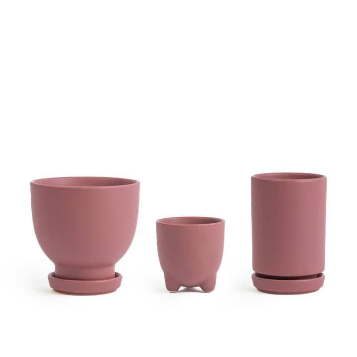 Momma Pots - Wholesale Plant Pot - Plant Junkie Pack - 16 pc/cspk3