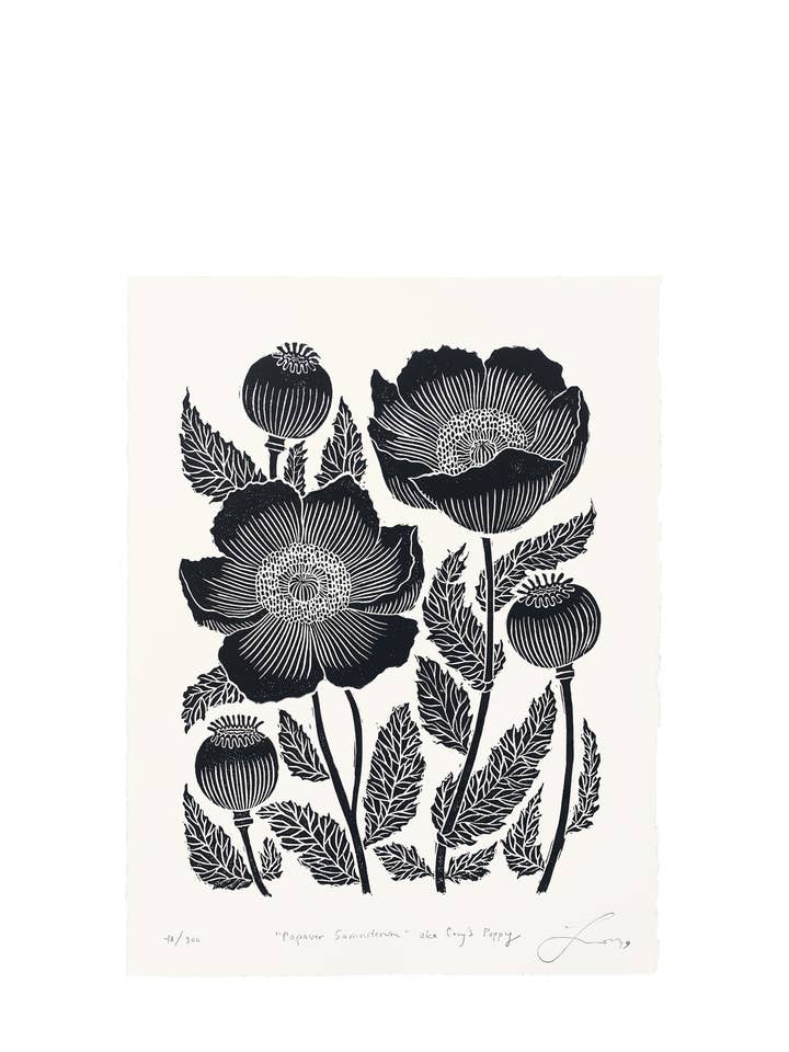Papaver Somniferum II para venta al por mayor de Lili Arnold