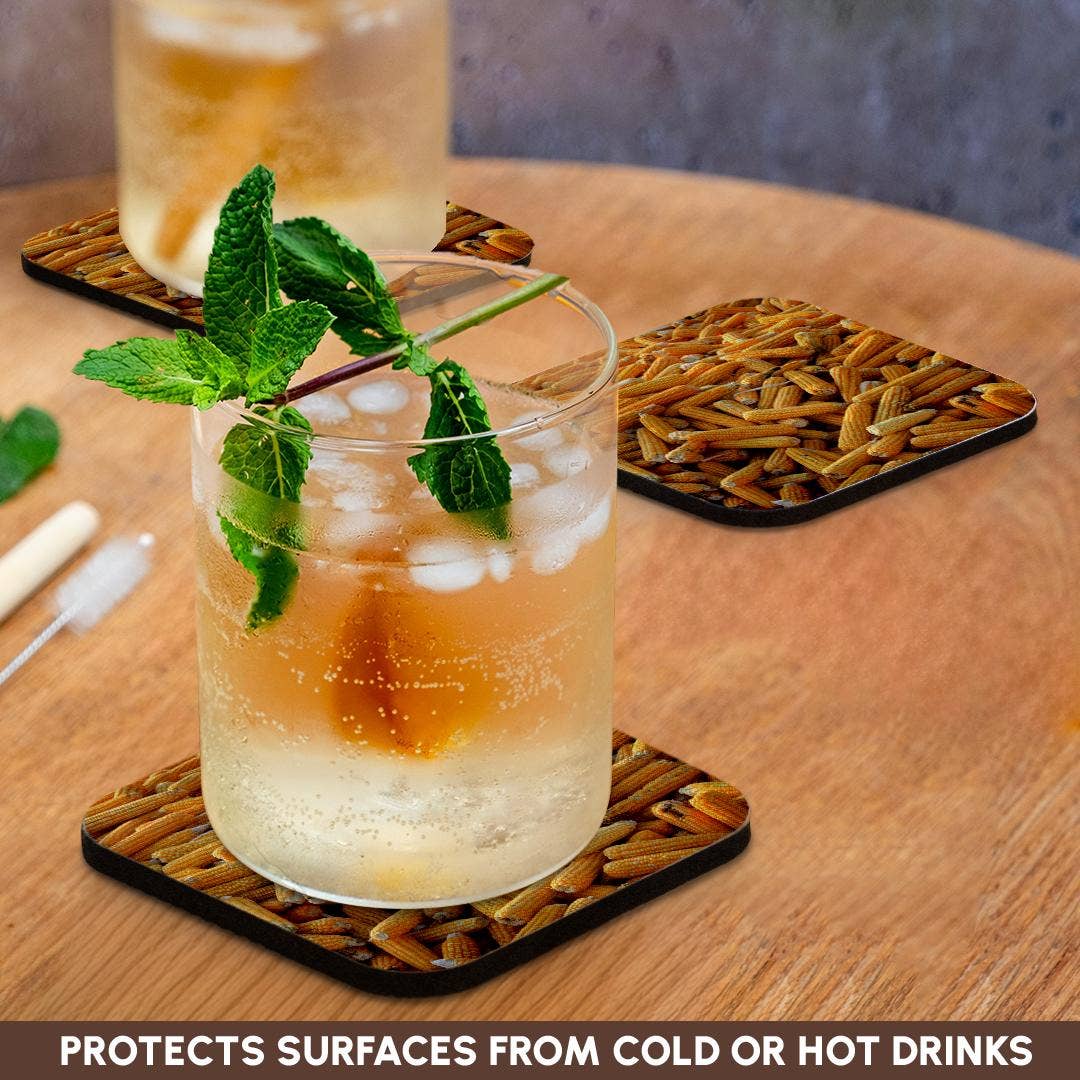 3dRose – wholesale Coasters – 3dRose, Raw Organic Husked Sweetcorn Seed Drying In The Sun, Coaster9