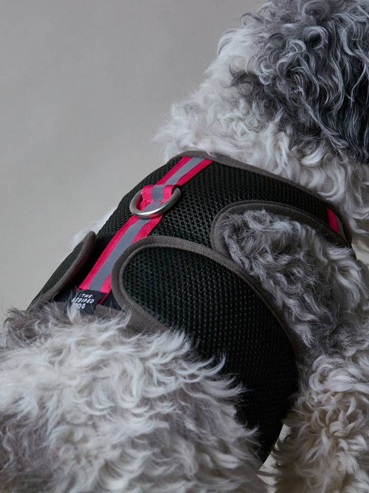 Military Green Neoprene Harness with Reflective Neon Stripe for wholesale by The Striped Dog